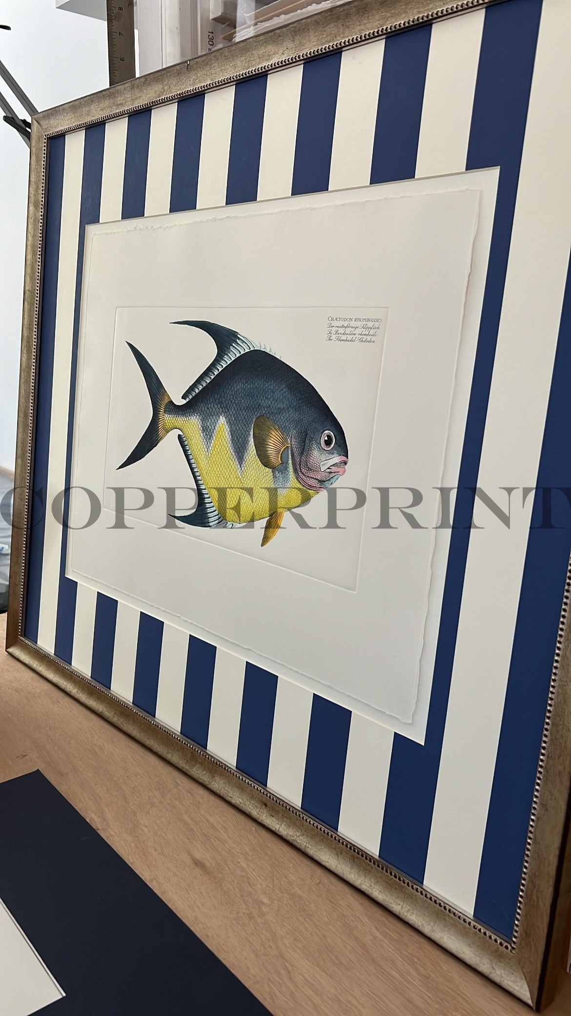 Rautenförmiger Klippfisch auf blauen breiten Streifen