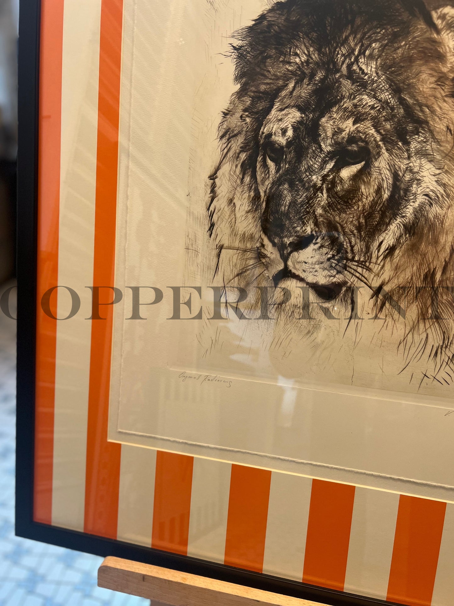 Löwe auf orangenen Streifen