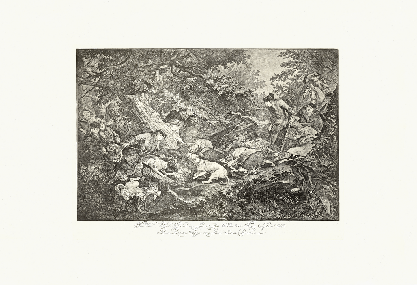 Wildschwein, Hatz - Johann Elias Ridinger