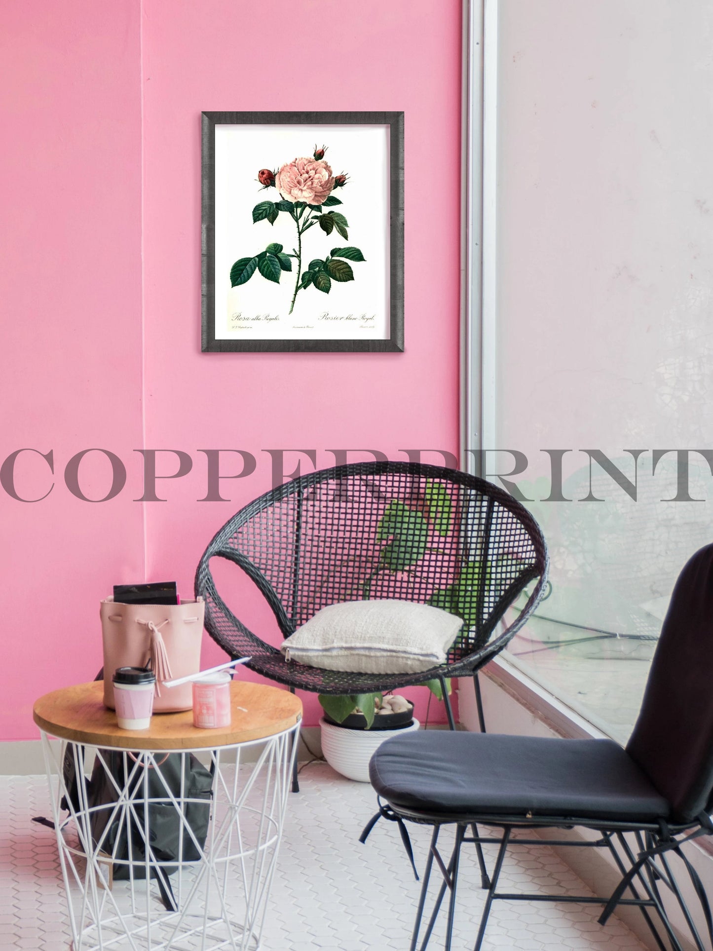 Gerahmter Kunstdruck einer Rose hängt im Cafe