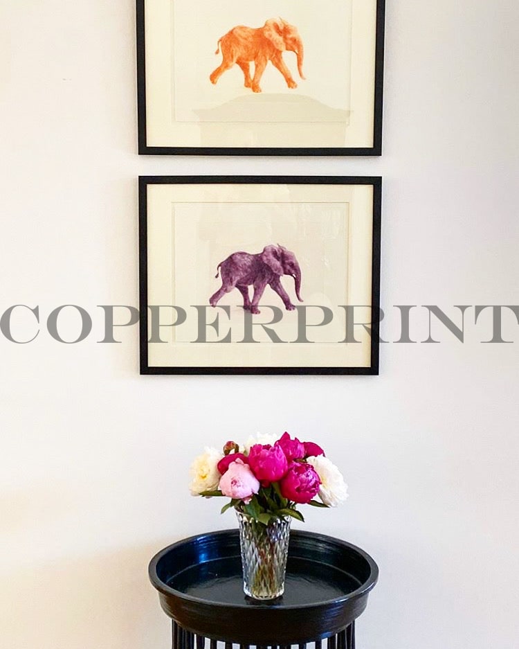 Orange und lila Elefant gerahmt