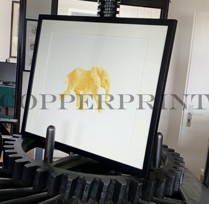 Der gelbe Elefant gerahmt