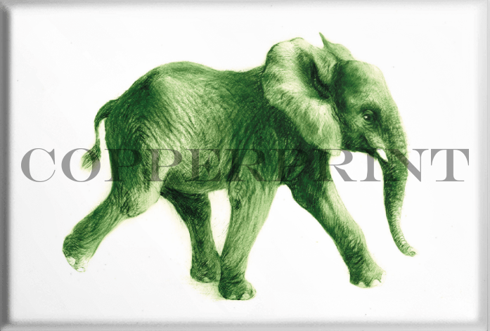 Magnet mit Elefanten Aufdruck