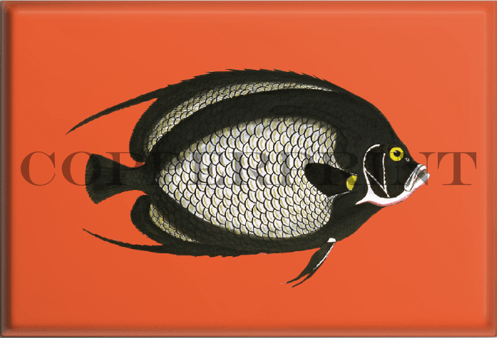 schwarzer Klippfisch Kunstdruck Magnet