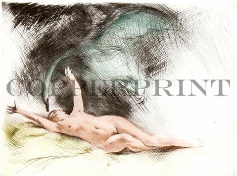 weibliches Aktmodel liegend mit Schwan Kunstdruck Tiefdruck