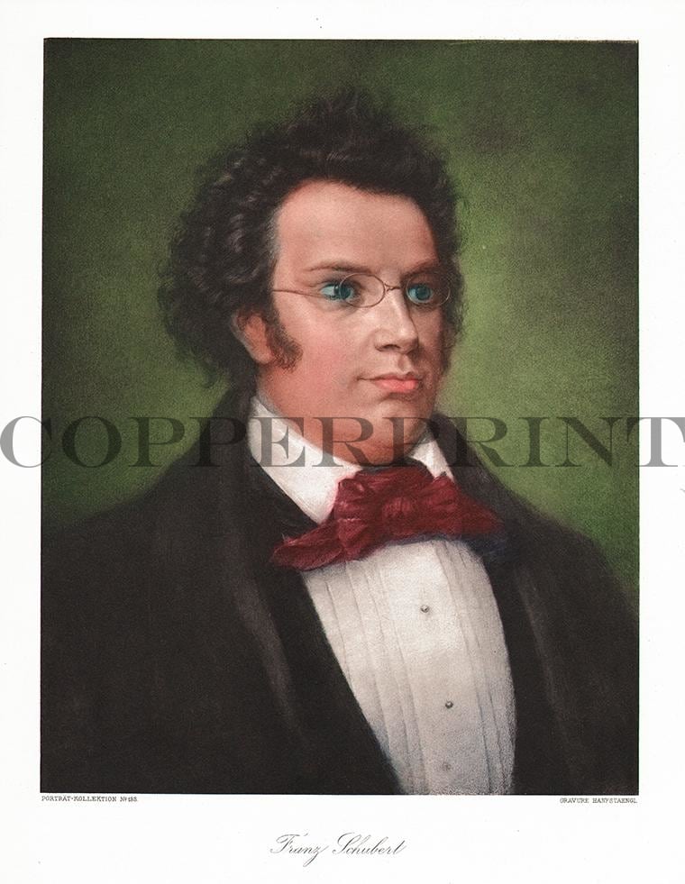 Portrait von Franz Schubert Kunstdruck Tiefdruck