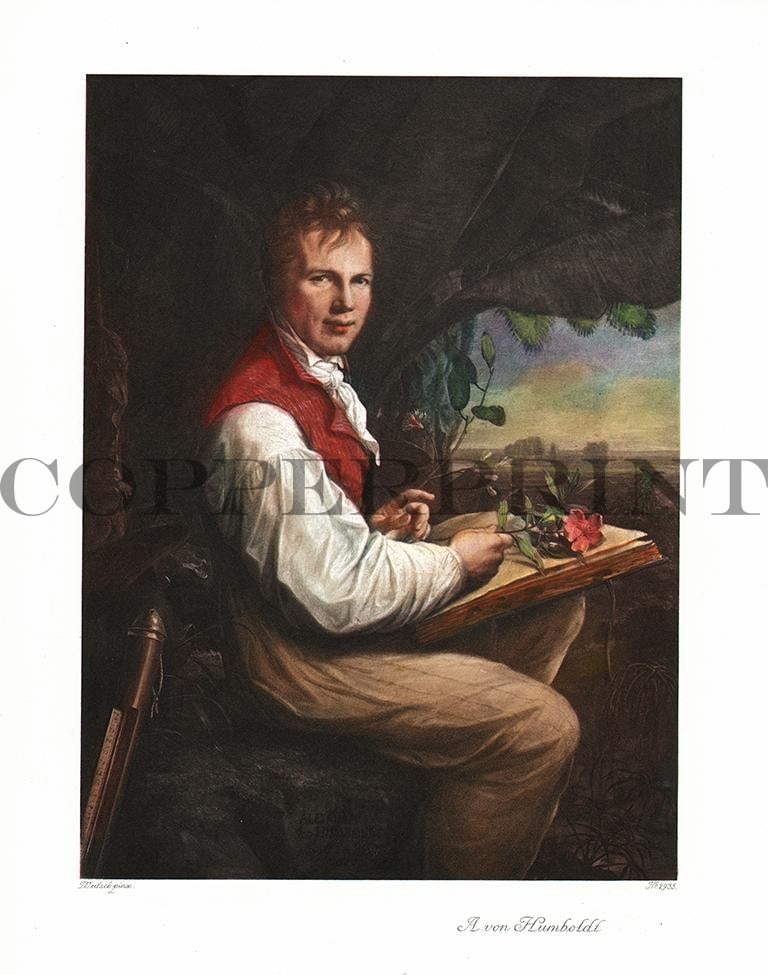 Portrait von Alexander von Humboldt Kunstdruck Tiefdruck