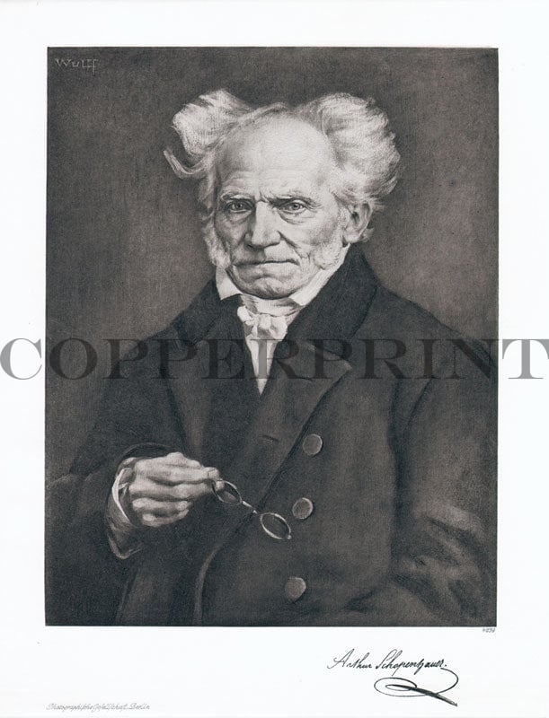 Arthur Schopenhauer II
