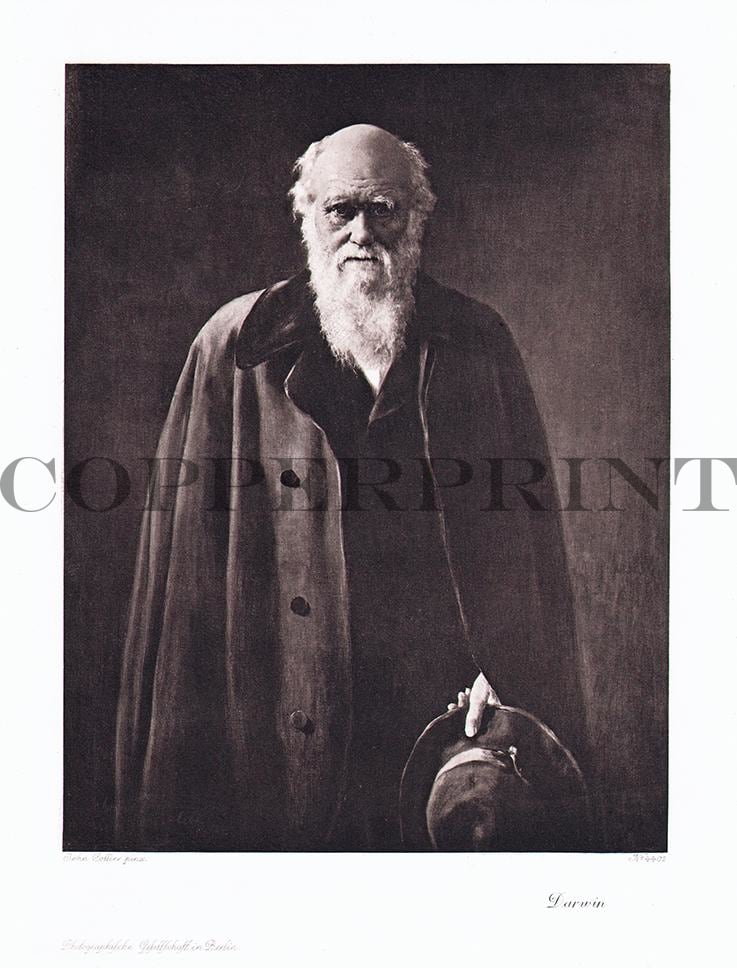 Portrait von Charles Darwin im Mantel Kunstdruck Tiefdruck