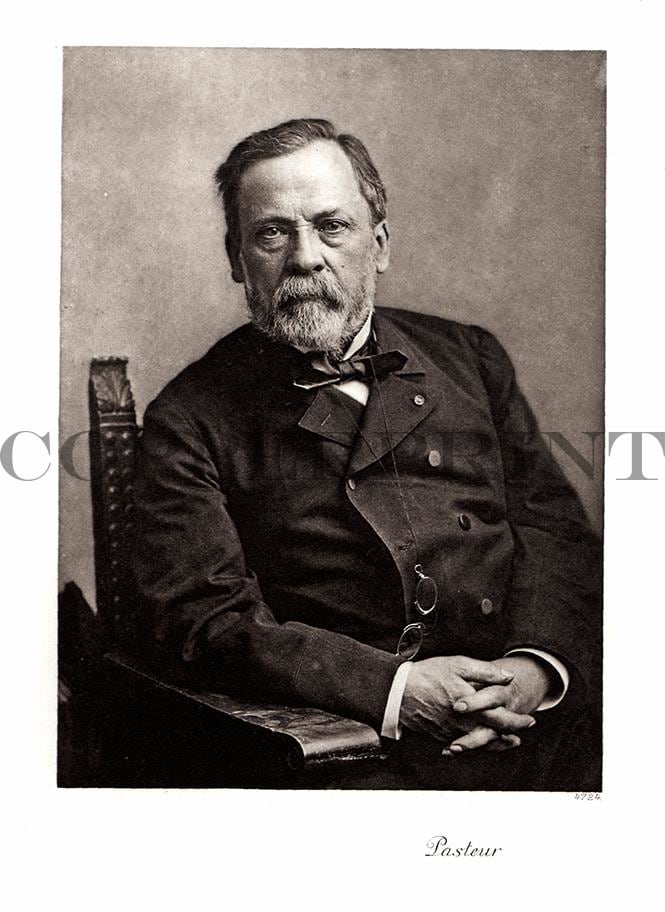 Portrait von Pasteuer Kunstdruck Tiefdruck