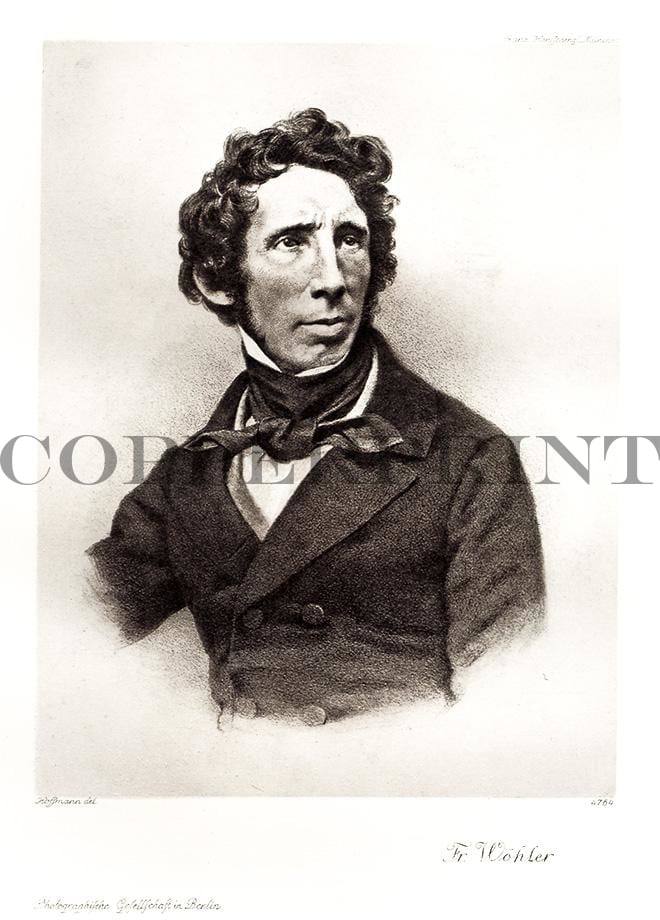 Portrait von Wöhler Kunstdruck Tiefdruck