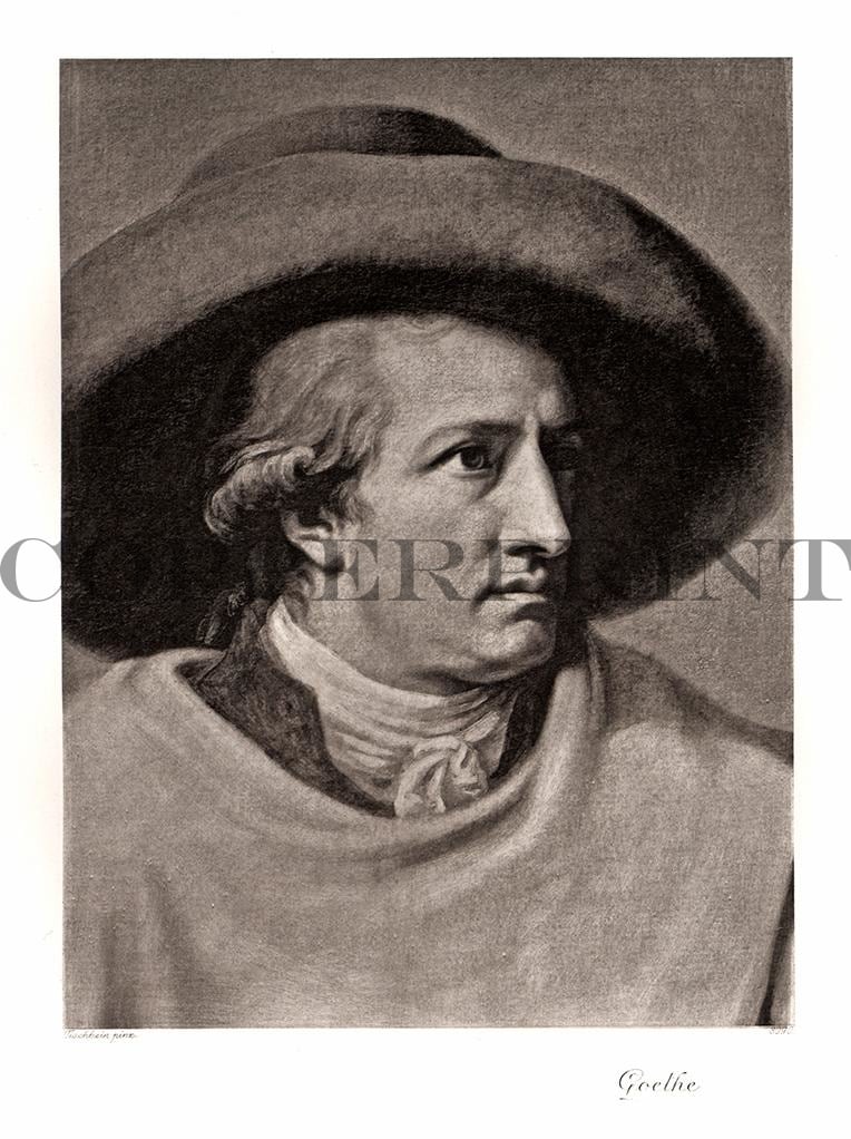 Portrait von Johann Wolfgang von Goethe Kunstdruck Tiefdruck