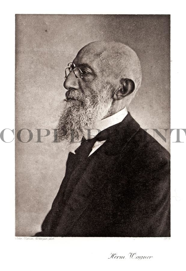 Portrait von Hermann Wagner Kunstdruck Tiefdruck