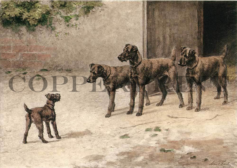 Hunde im Freien Kunstdruck Tiefdruck