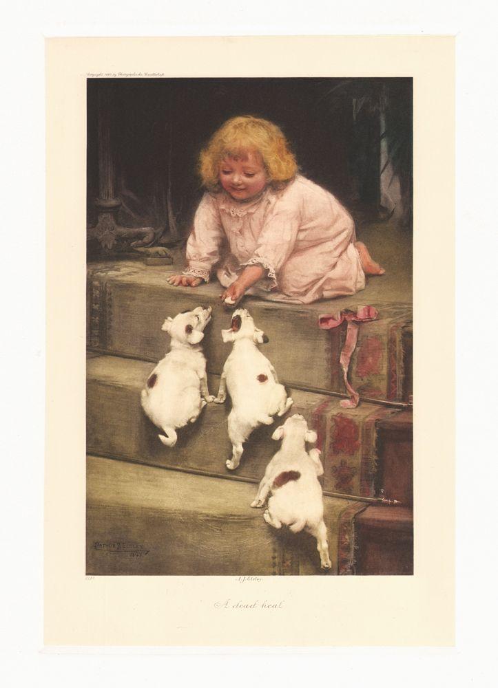 Mädchen mit drei Welpen auf Treppe Kunstdruck Tiefdruck