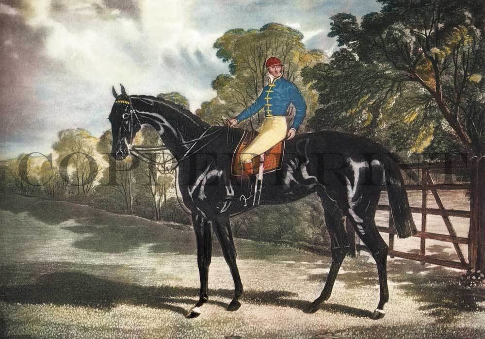 Fuchsjagd auf dem Pferd Kunstdruck Tiefdruck