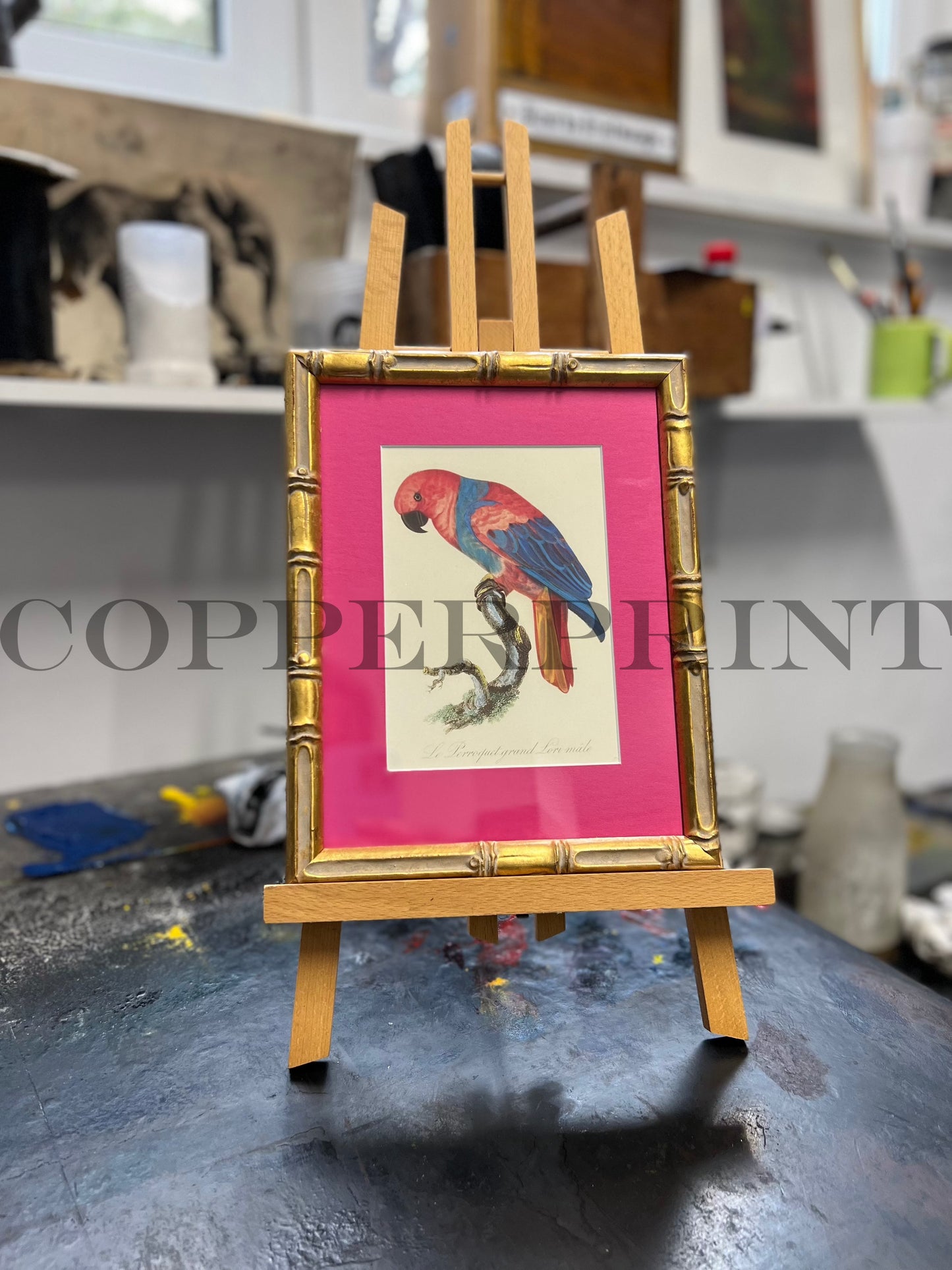 Rähmchen // Papagei Lori // Bambus