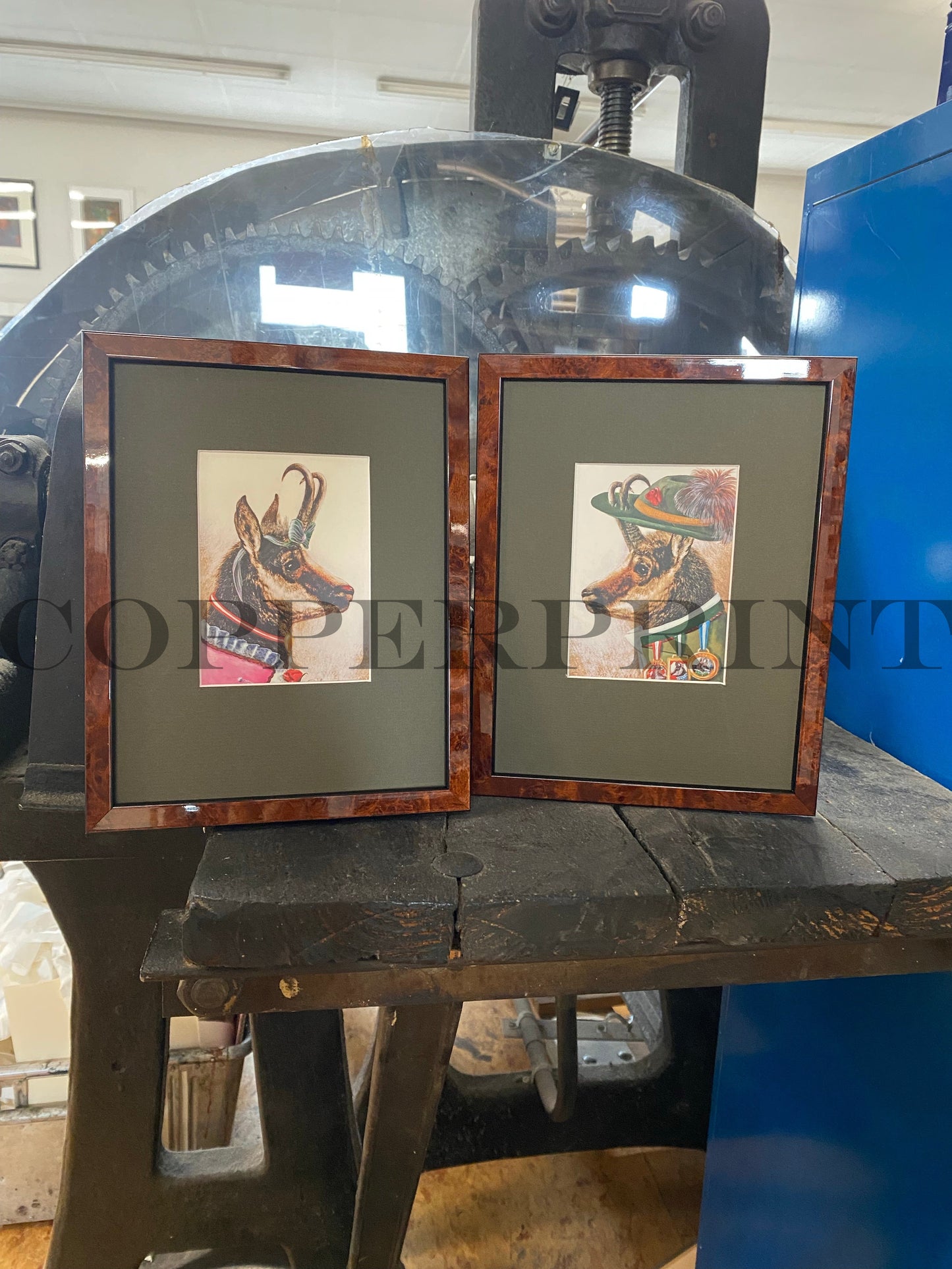 Rähmchen // Gams Paar // Wurzelholz