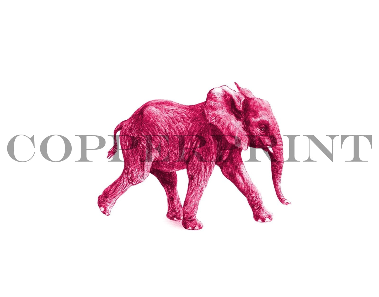 Junger Elefant pink - Kunstkarte