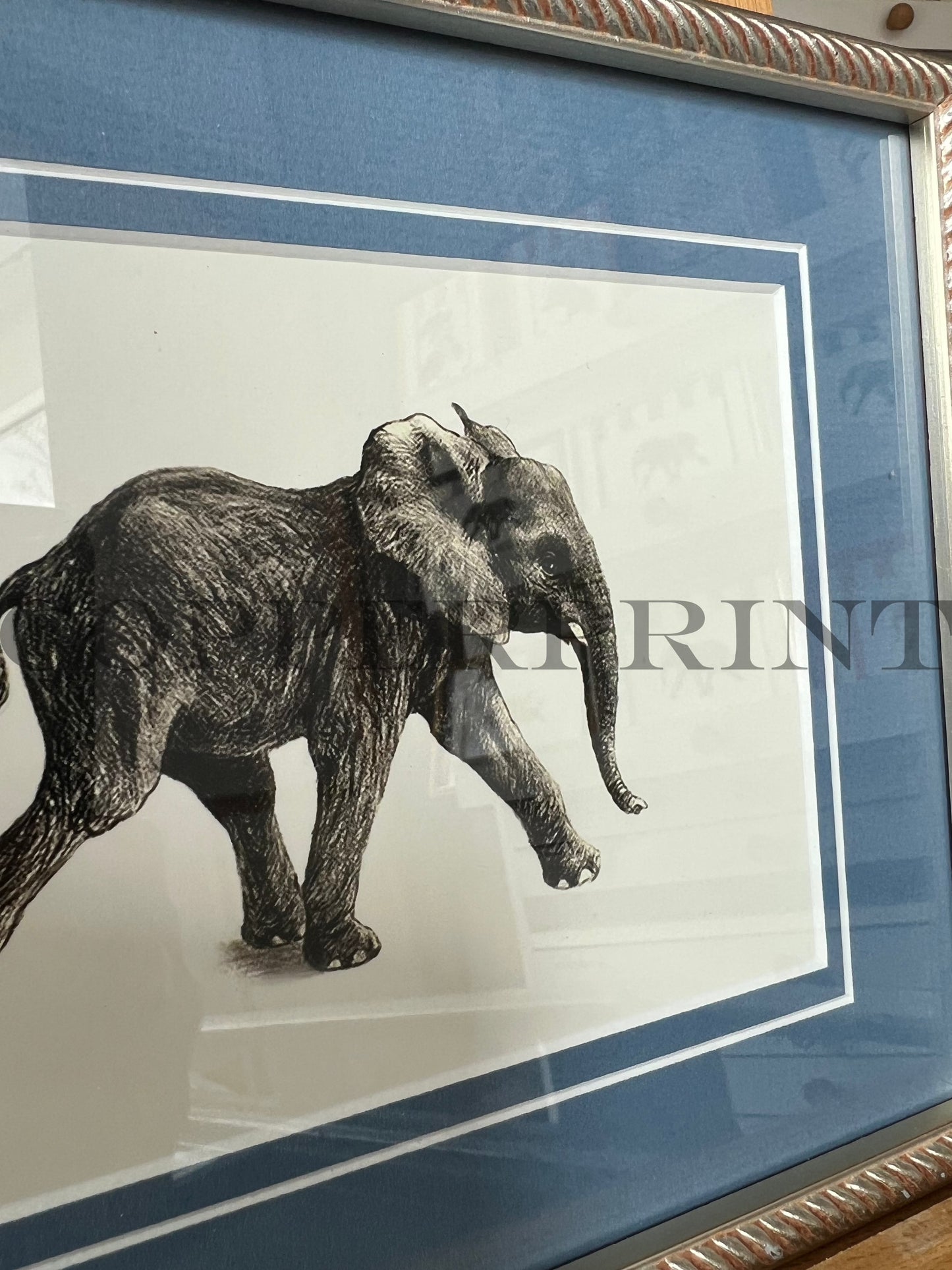 Rähmchen // Elefant // hellblau V- Linie