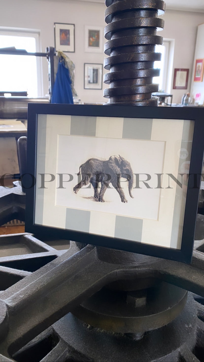 Rähmchen // Elefant // Streifen grau