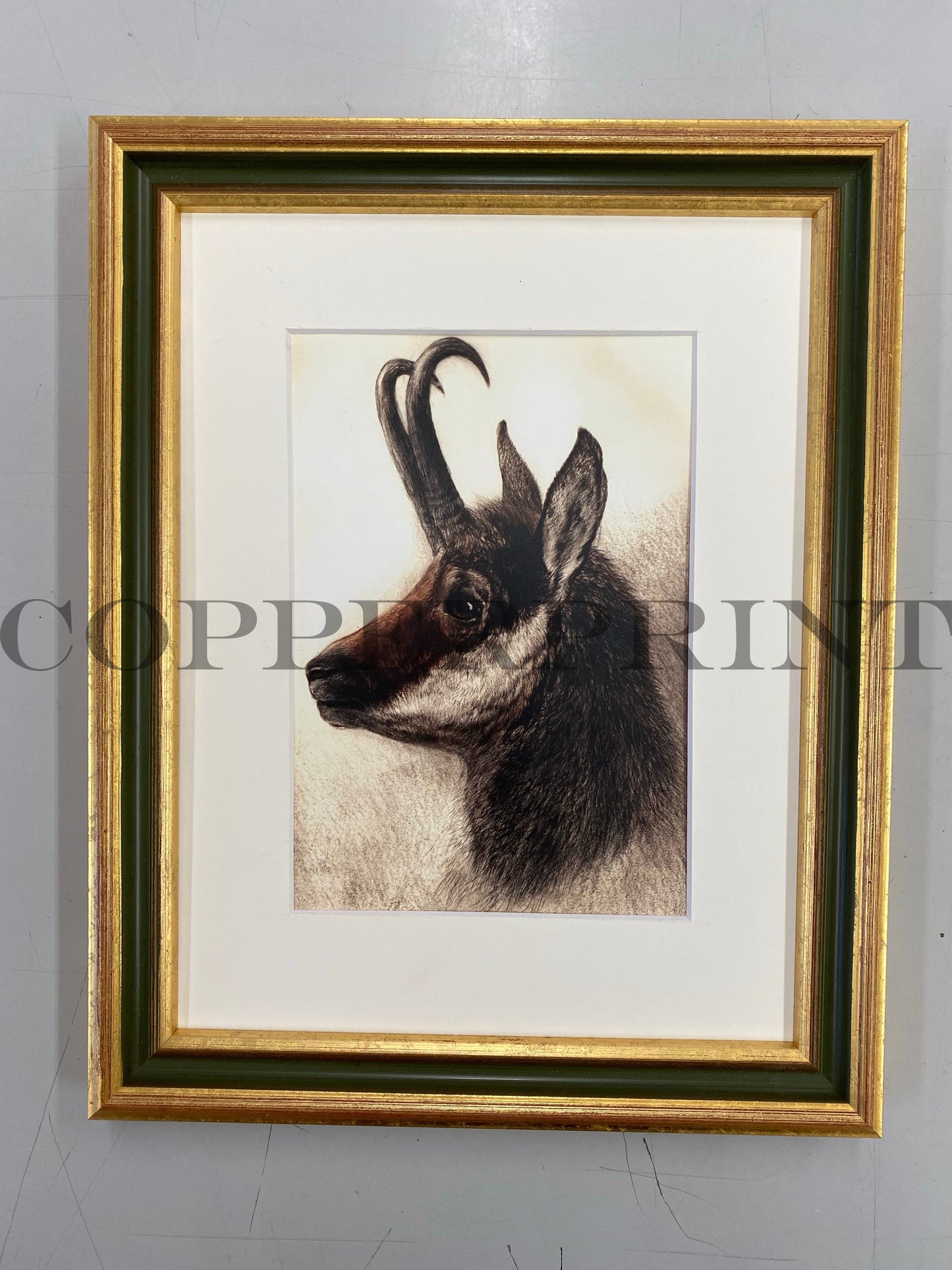 Rähmchen // Gams // Oliv