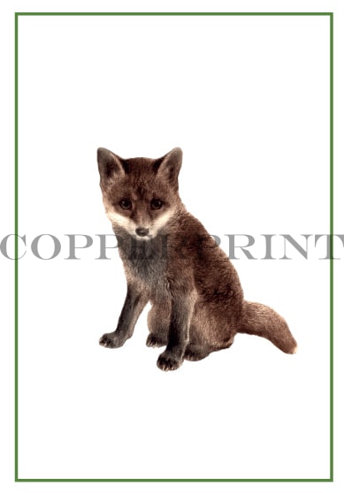 junger Fuchs - Kunstkarte