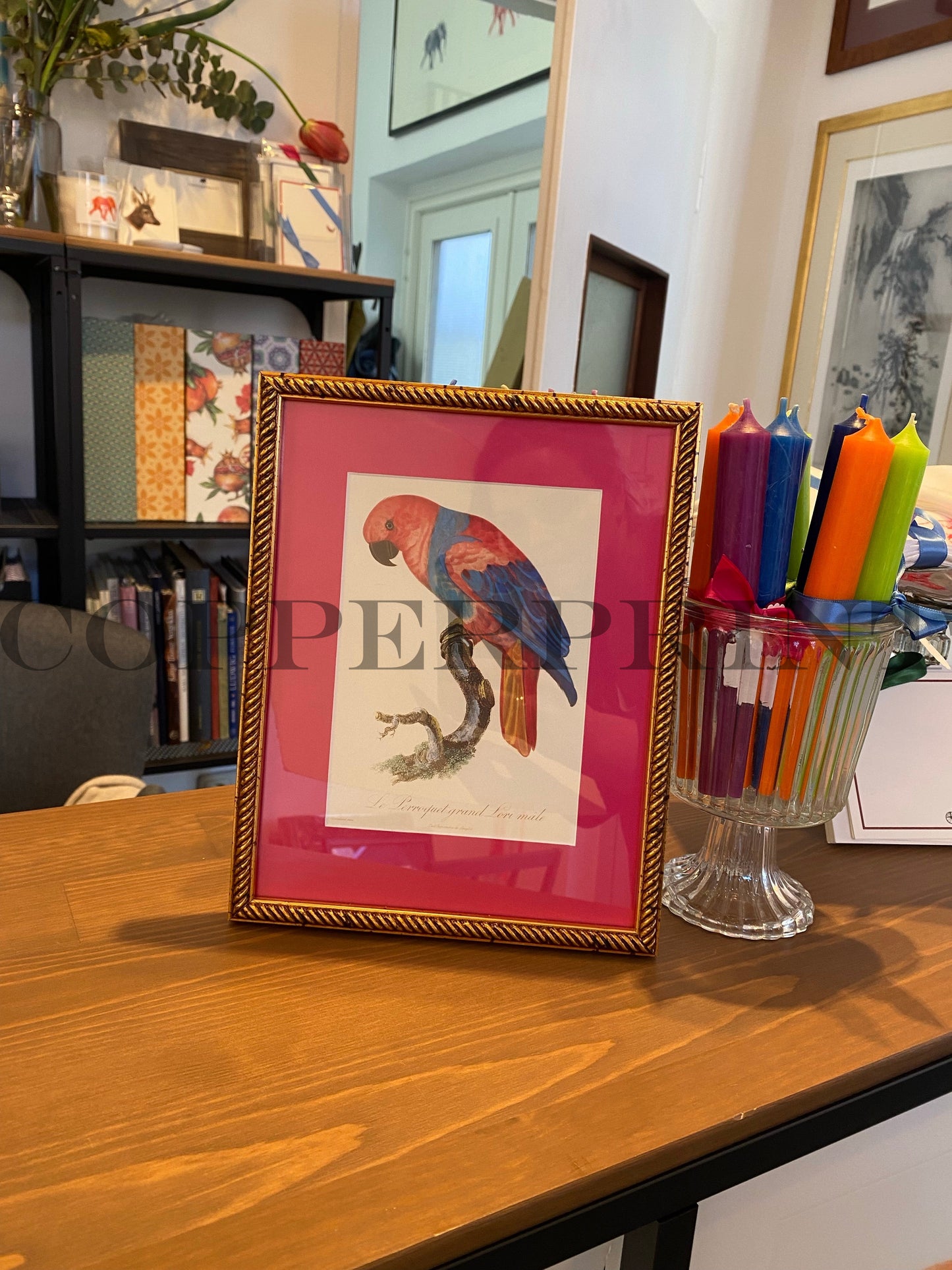 Rähmchen // Papagei // PINK