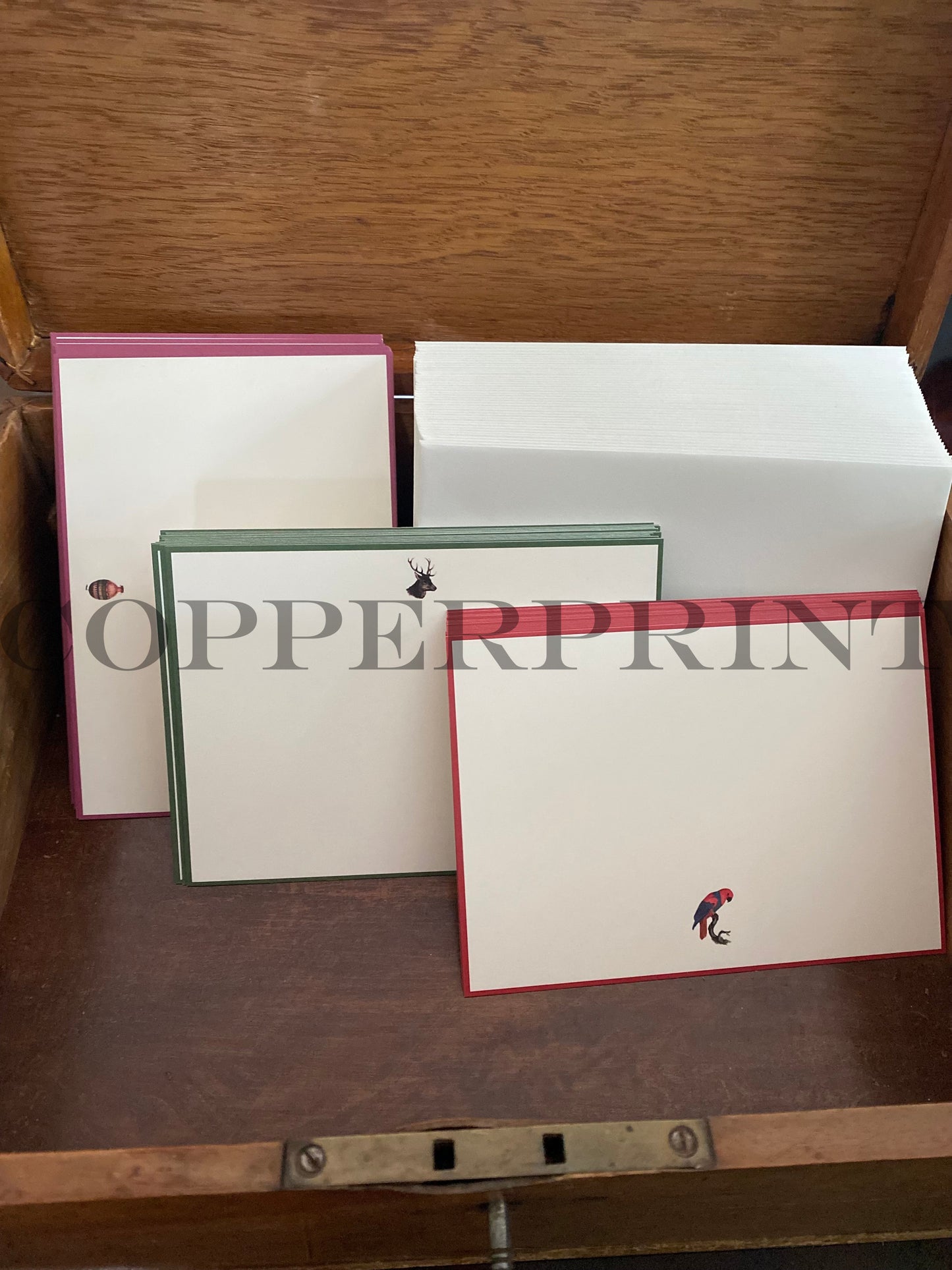 Briefkarten DIN A6 // Papagei Rot