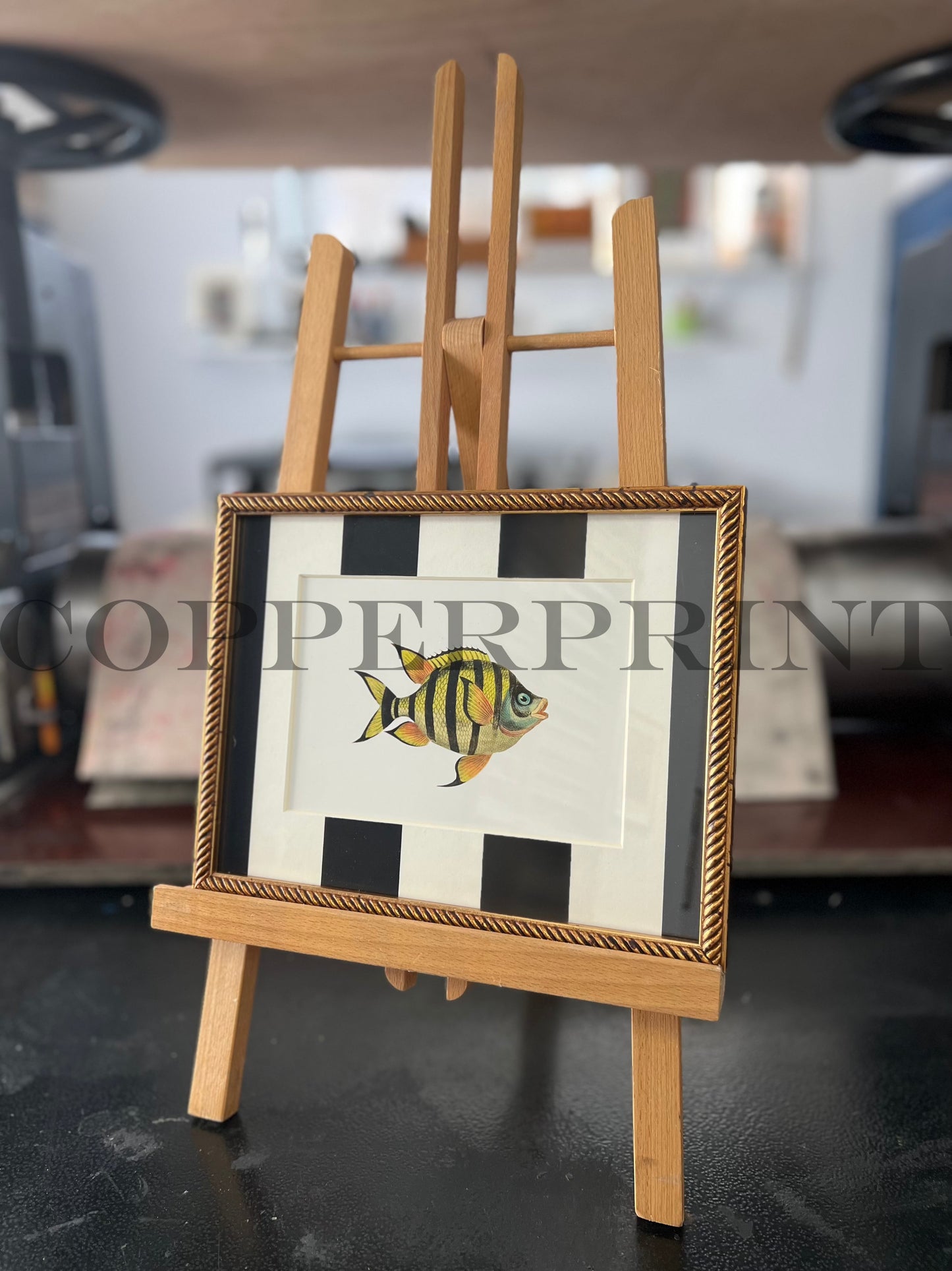 Rähmchen // Klippfisch // schwarze Streifen