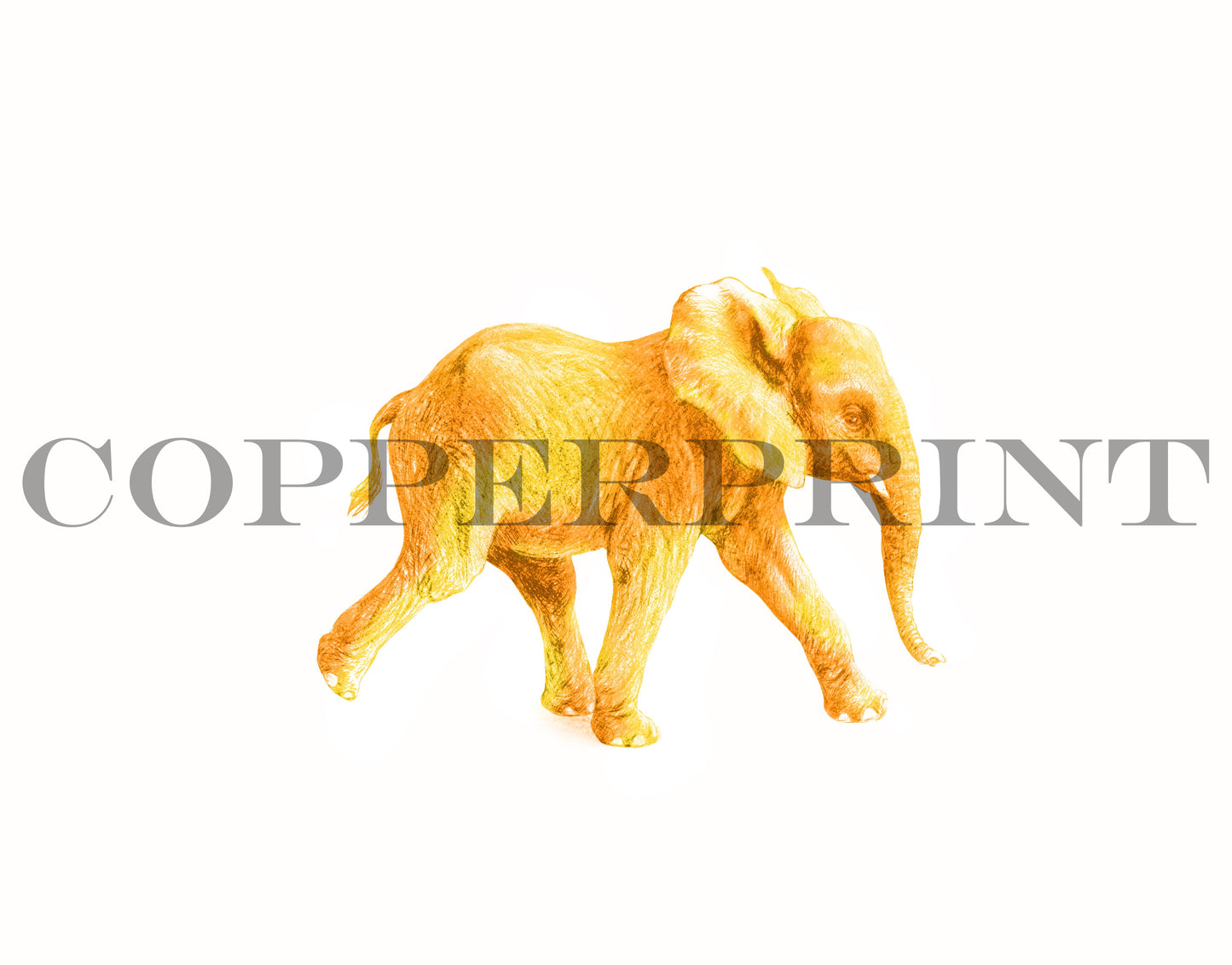 Junger Elefant, gelb