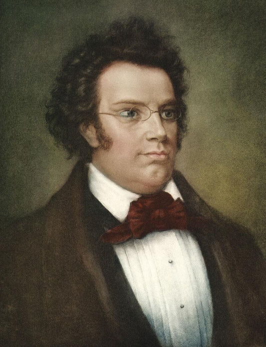 Portrait von Franz Schubert Kunstdruck Tiefdruck