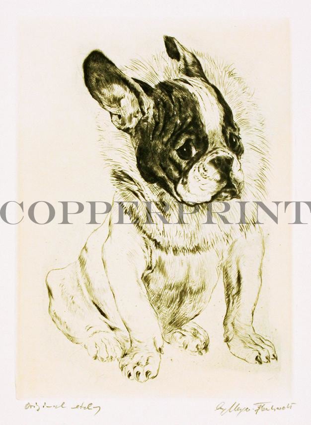 Studie eines sitzenden Mopses Kunstdruck Tiefdruck