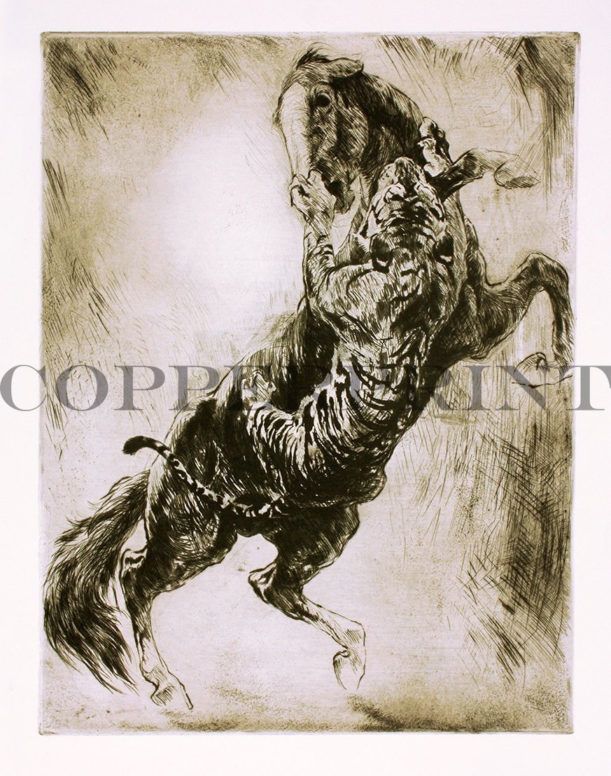 Tiger macht Jagd auf Pferd Kunstdruck Tiefdruck