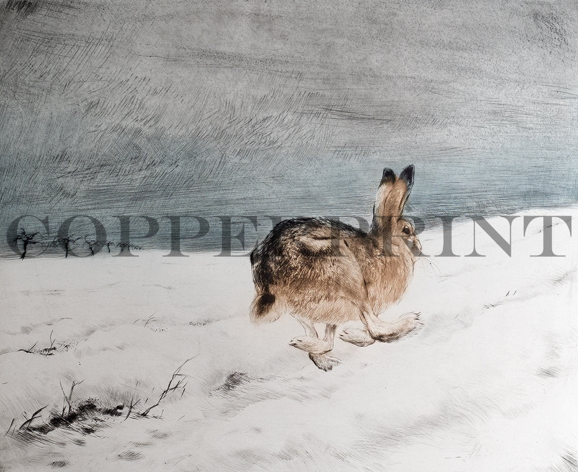 Hase auf der Flucht im Winter Kunstdruck Tiefdruck