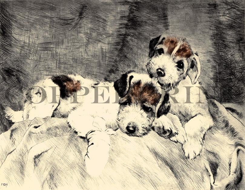 Zwei Terrier auf dem Bett Kunstdruck Tiefdruck