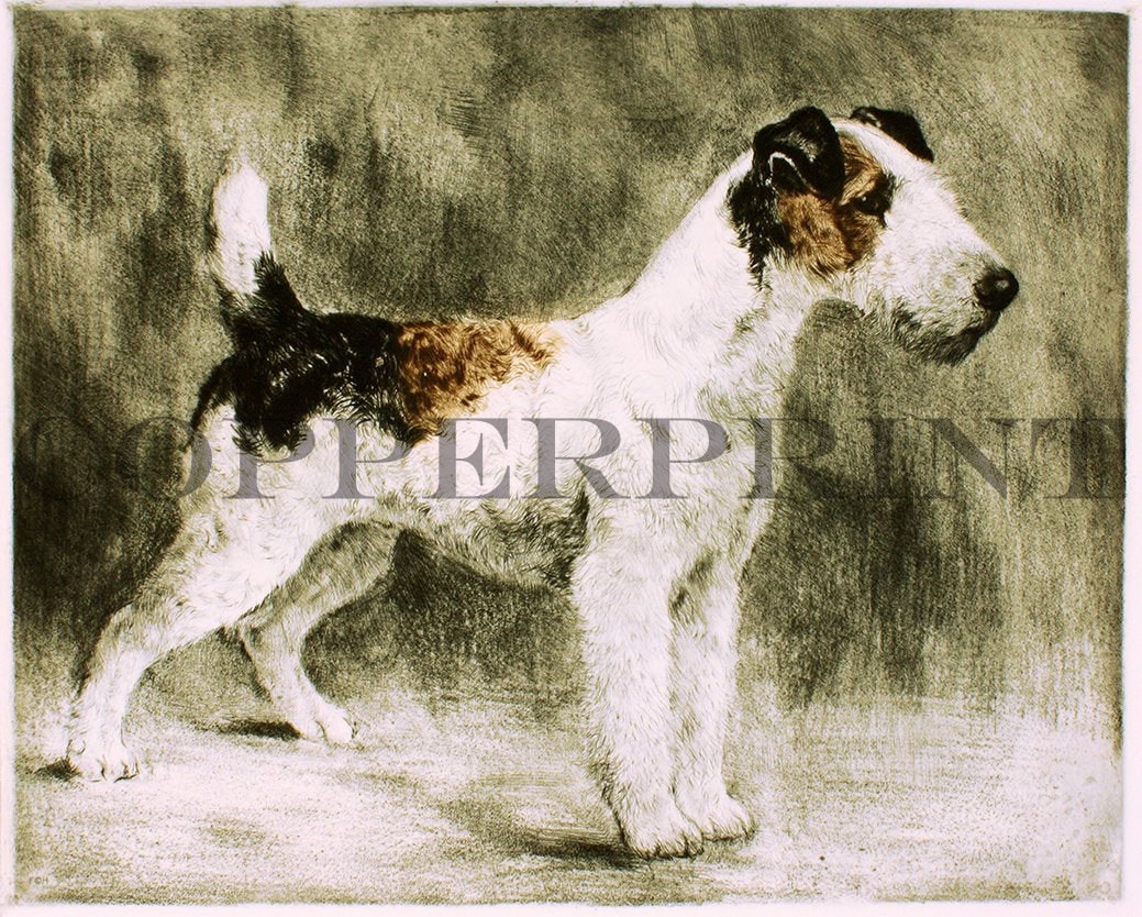 Studie eines stehendes Terrier Kunstdruck Tiefdruck