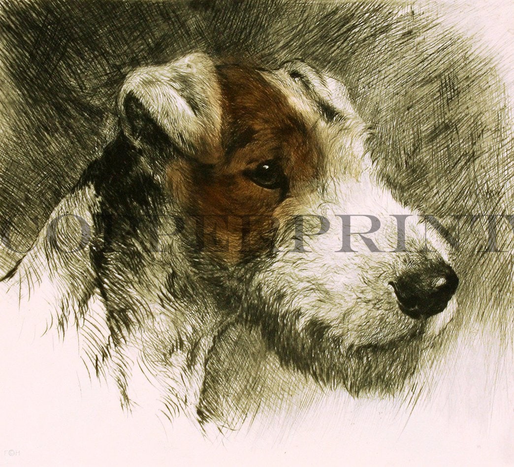 Studie eines Terrierkopfes Kunstdruck Tiefdruck