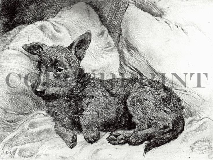 Terrier liegt im Bett Kunstdruck Tiefdruck