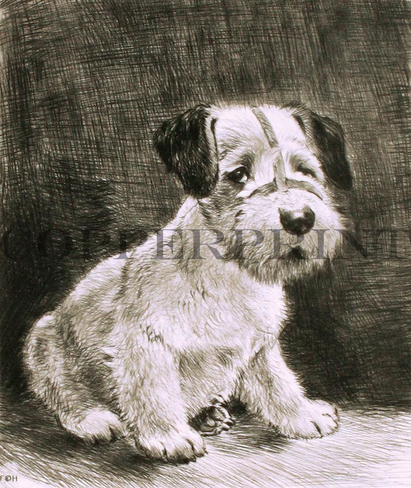 Studie eines Terrier sitzend Kunstdruck Tiefdruck