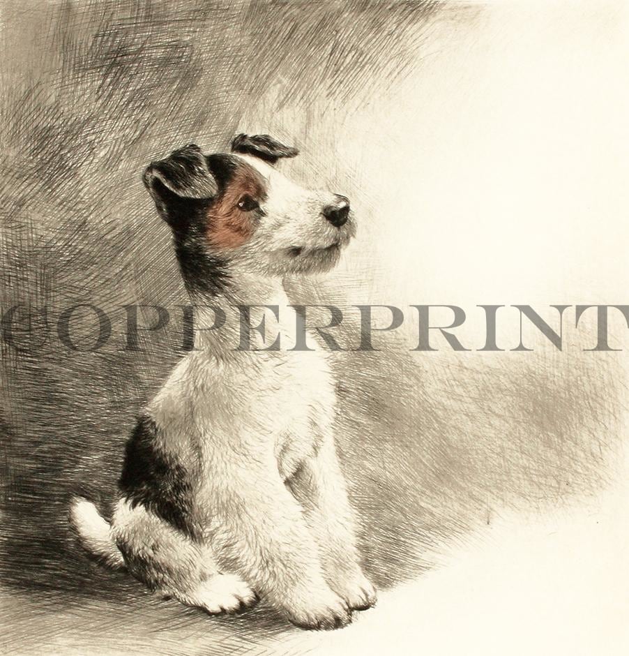 Studie eines sitzenden Terriers Kunstdruck Tiefdruck