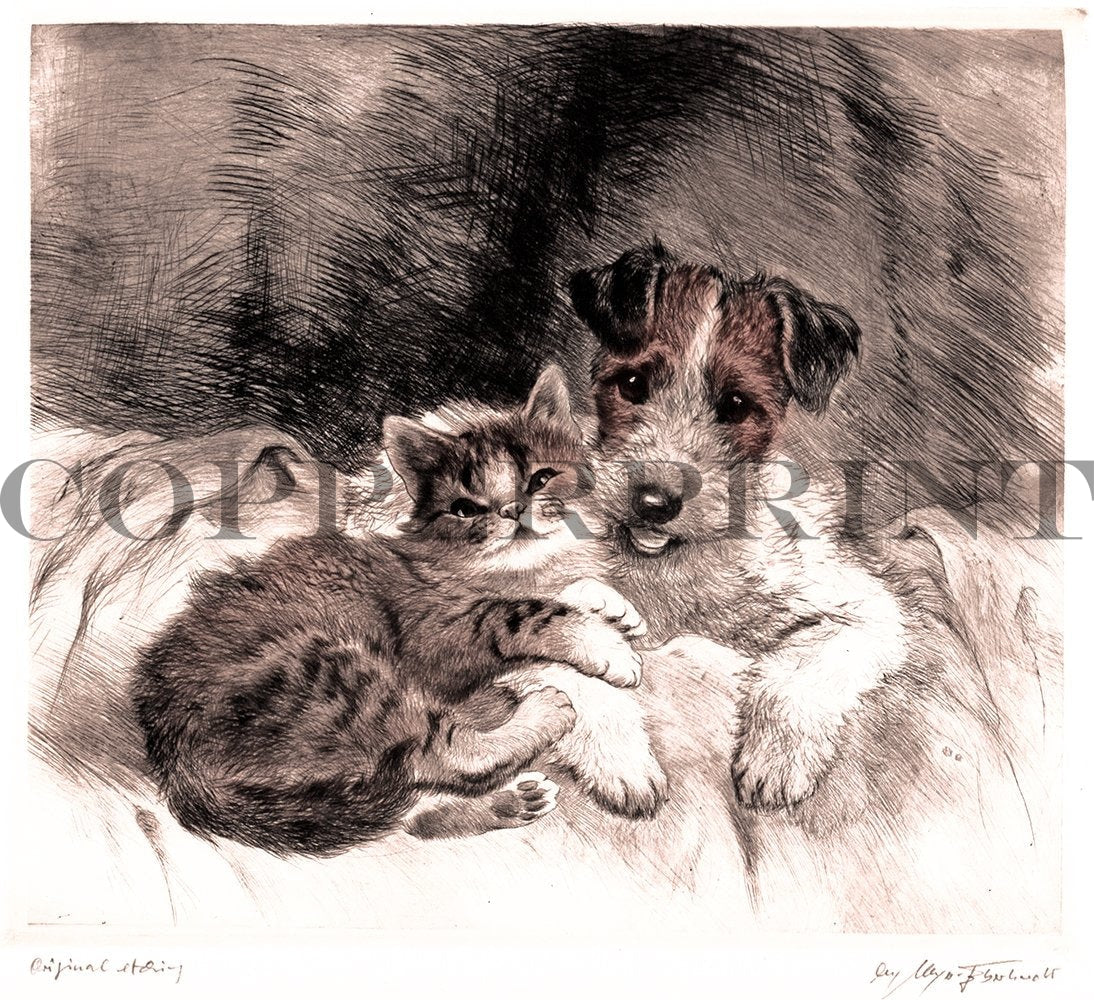 Hund und Katze nebeneinander im Bett Kunstdruck Tiefdruck