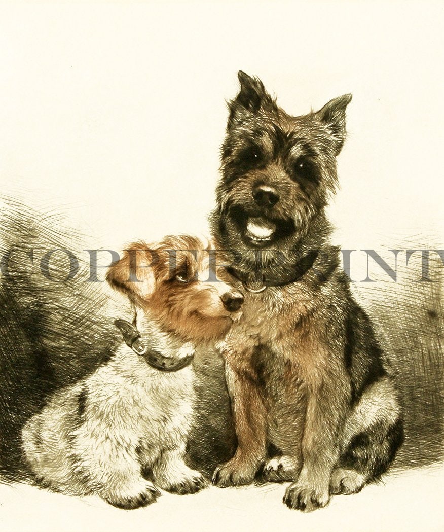 sitzendes Terrier Hundepaar Kunstdruck Tiefdruck