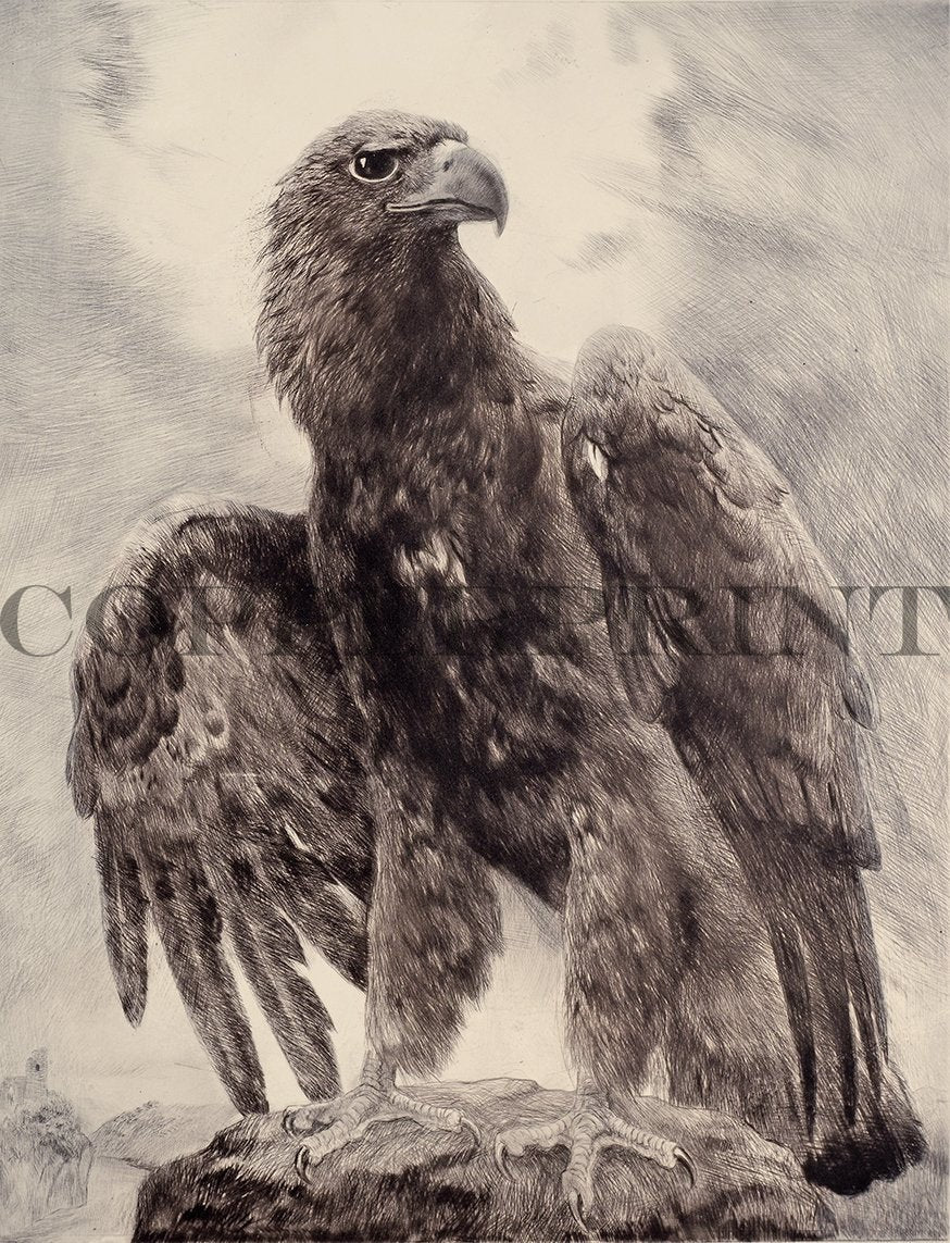 deutscher Adler auf einem Felsen Kunstdruck Tiefdruck