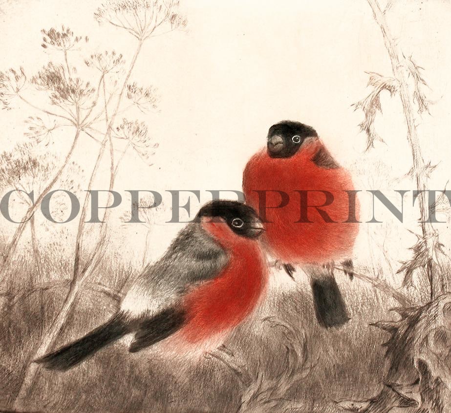 Vögel im Gras Kunstdruck Tiefdruck