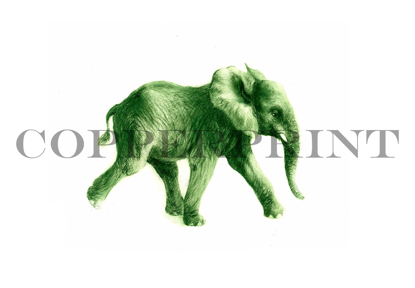 junger Elefant in grün Kunstdruck Tiefdruck