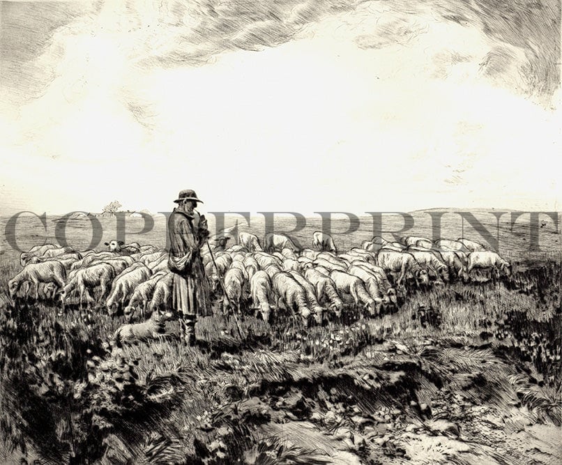 Schäfer auf dem Feld mit Schafen Kunstdruck Tiefdruck