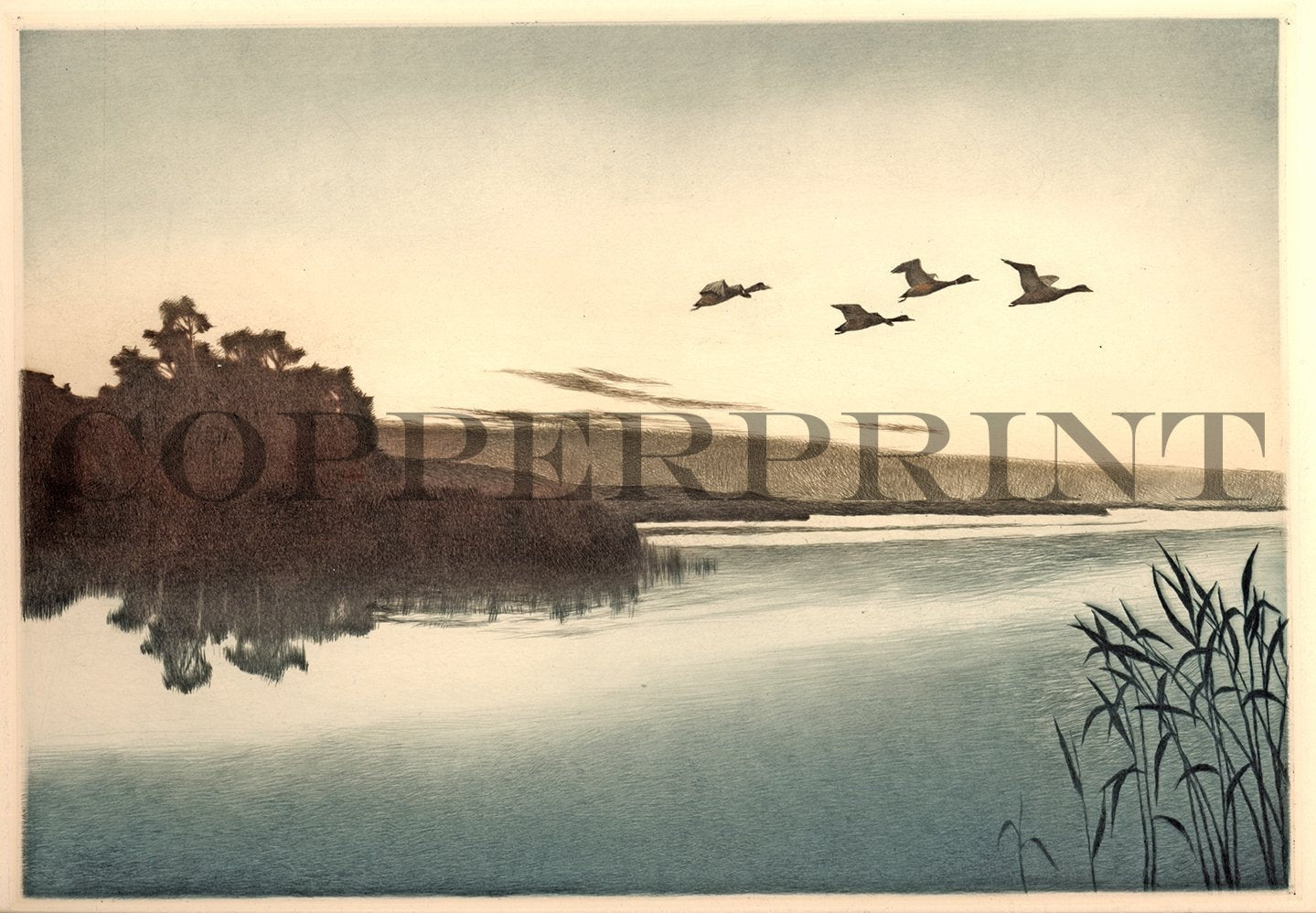 Enten fliegen über See Kunstdruck Tiefdruck