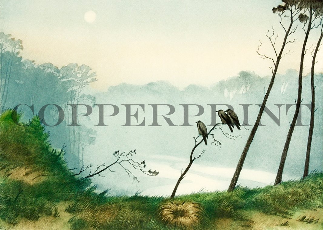 Krähen sitzen auf einem Ast Kunstdruck Tiefdruck