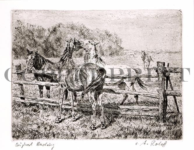 Pferde auf der Wiese Kunstdruck Tiefdruck